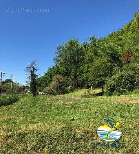 Terrain à SAINT-FAUST