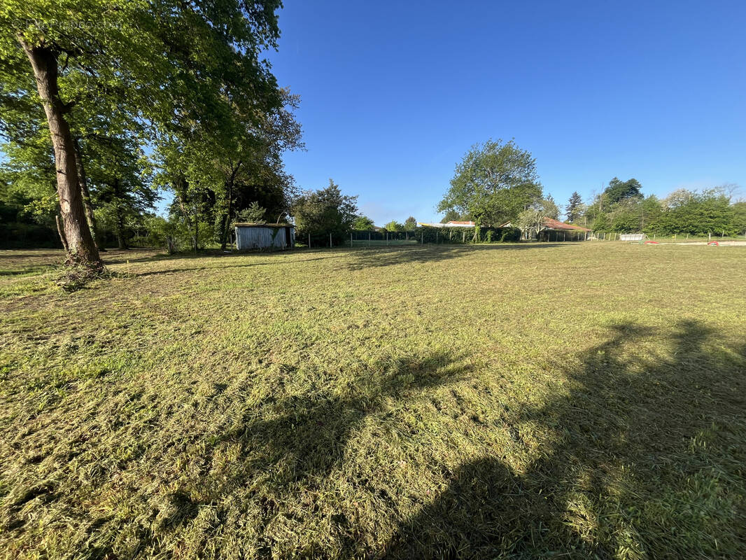 Terrain à NARROSSE