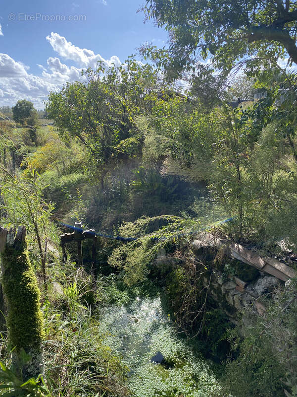 Maison à SAINT-PIERRE-D&#039;AURILLAC