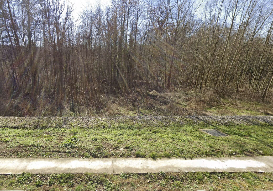 Terrain à SAINT-FORGET