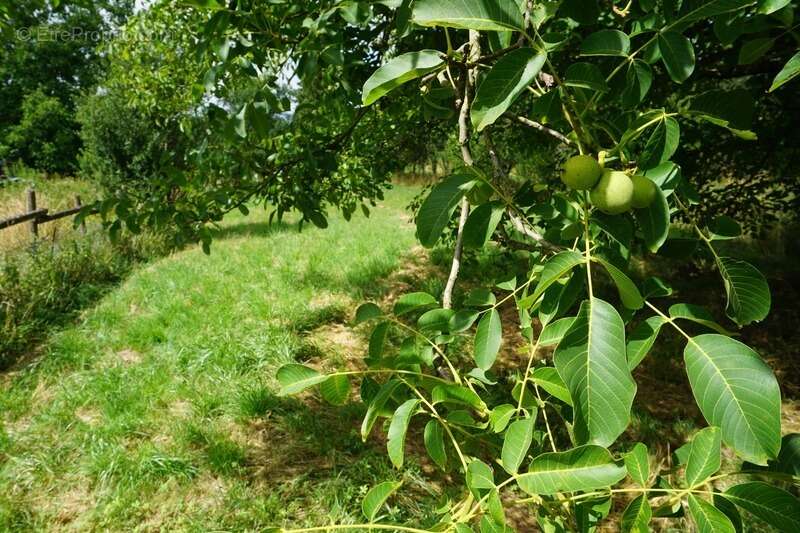 Maison à LUXEUIL-LES-BAINS