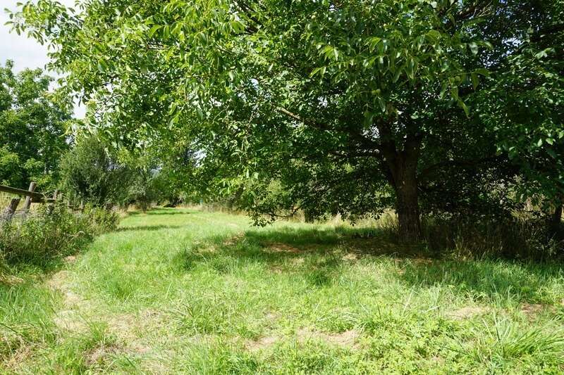 Maison à LUXEUIL-LES-BAINS