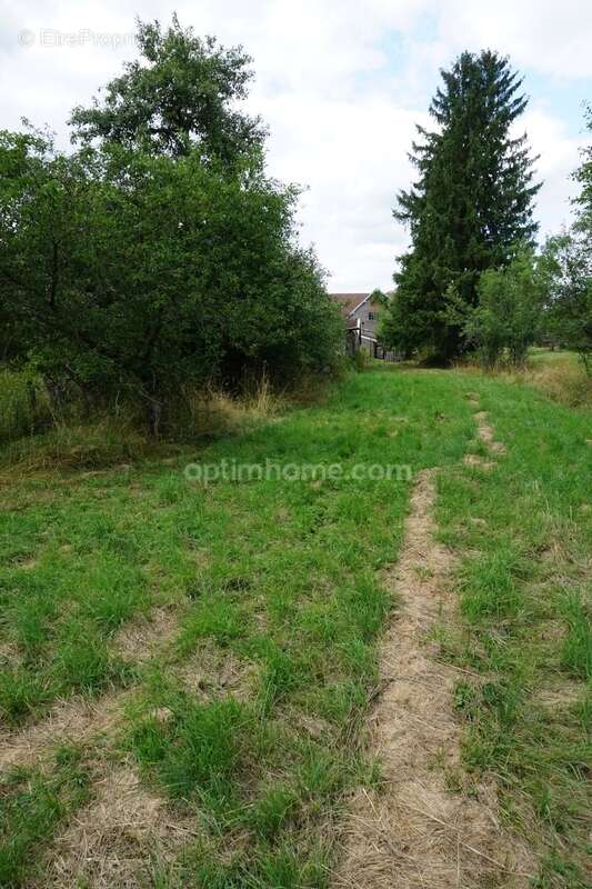 Maison à LUXEUIL-LES-BAINS