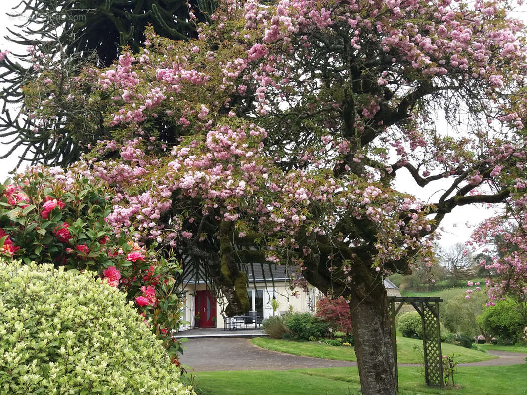 Maison à PLOEUC-SUR-LIE
