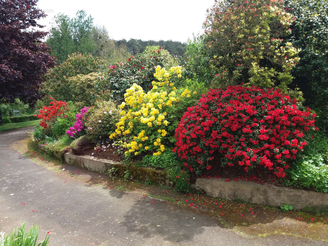 Maison à PLOEUC-SUR-LIE