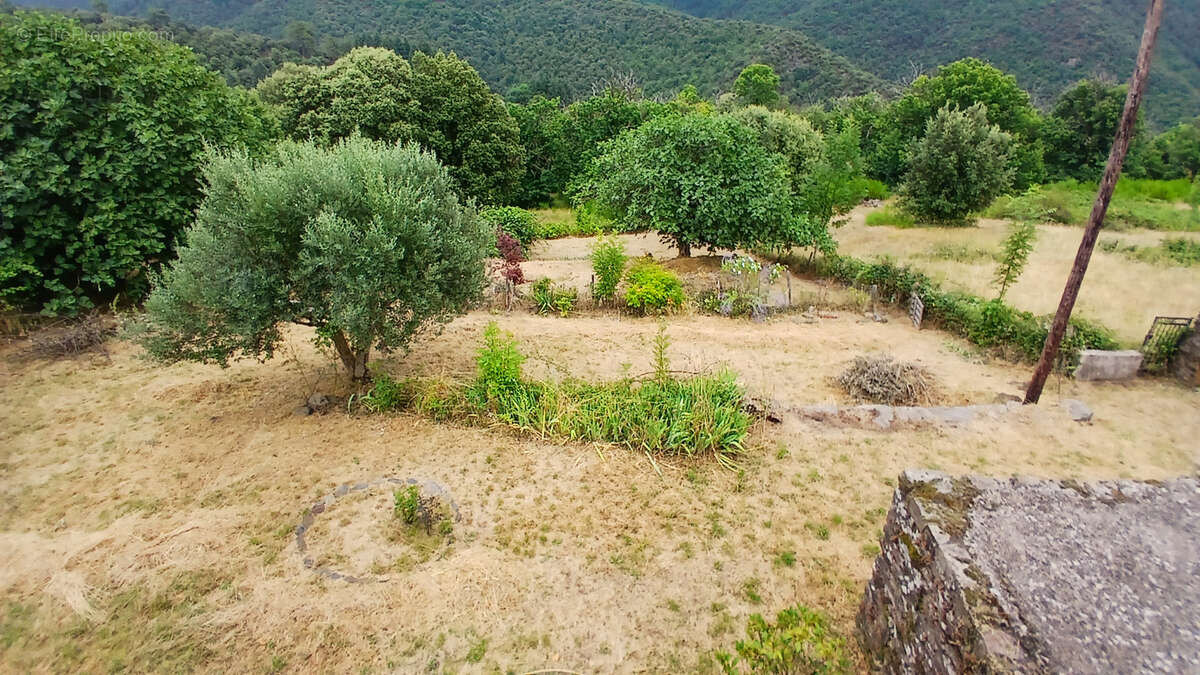 Maison à SAINT-FREZAL-DE-VENTALON