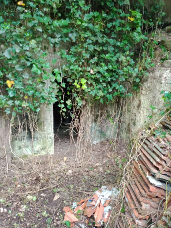 Maison à LA FERTE-MILON