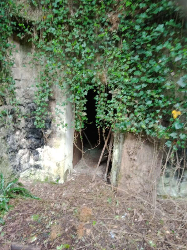 Maison à LA FERTE-MILON