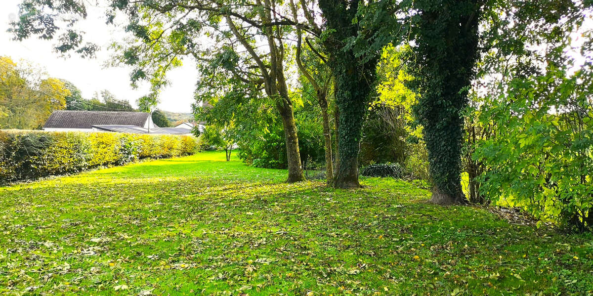 Maison à AVESNES-LE-COMTE