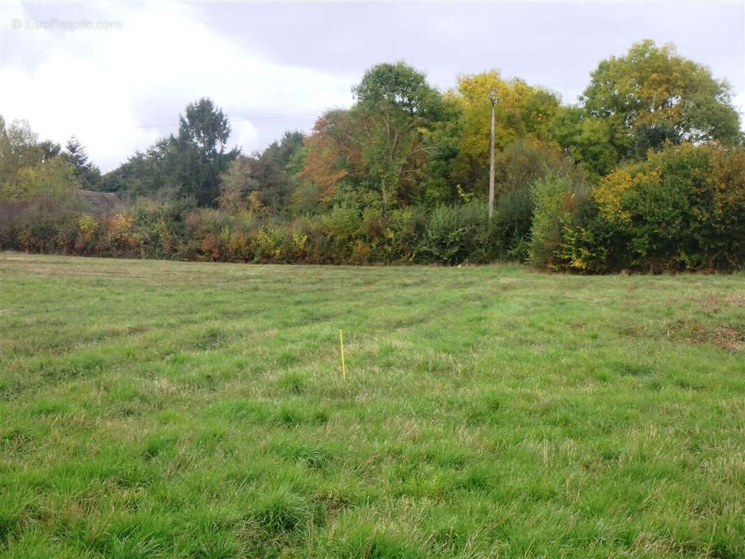 Terrain à HOUDAN