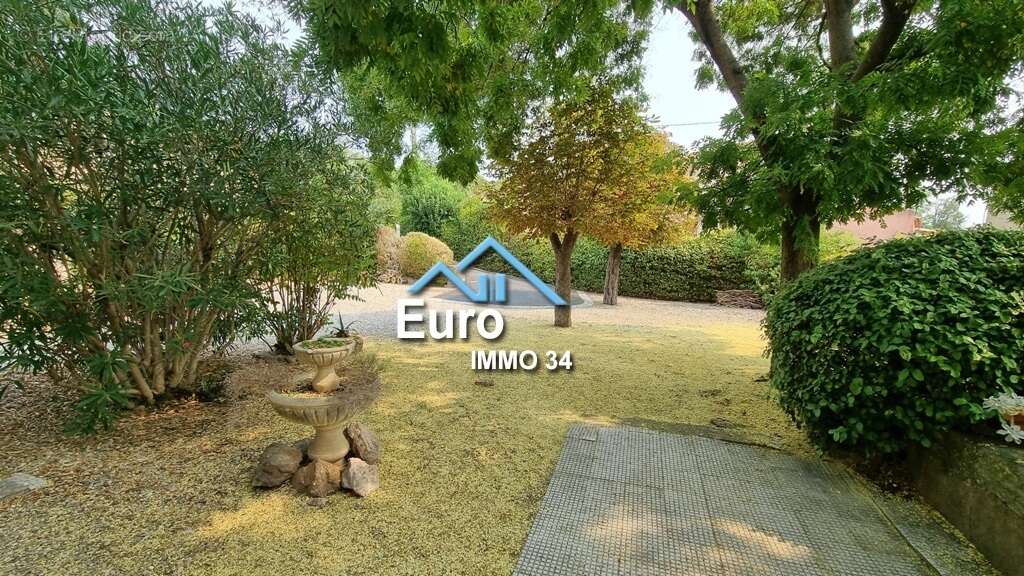 Maison à MURVIEL-LES-BEZIERS