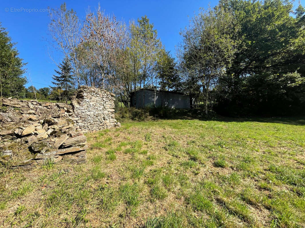 Maison à SAINT-AMANS-VALTORET