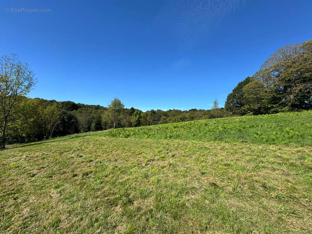 Maison à SAINT-AMANS-VALTORET