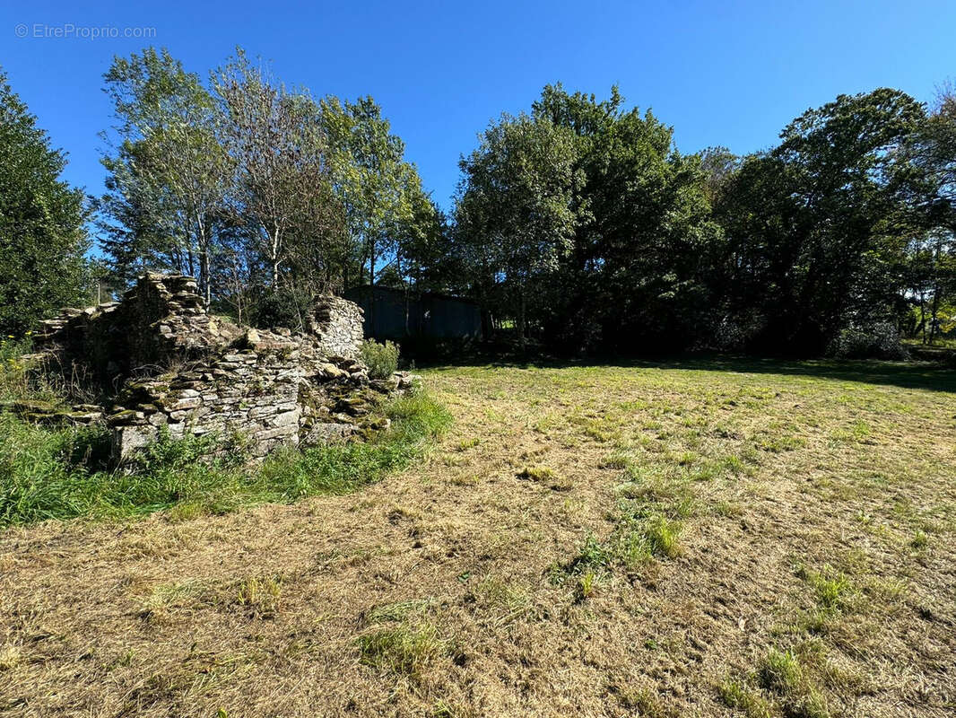 Maison à SAINT-AMANS-VALTORET