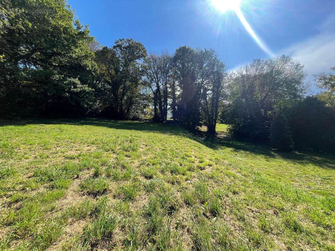 Maison à SAINT-AMANS-VALTORET