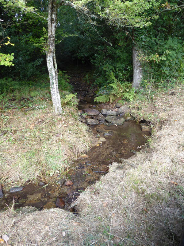 Maison à SAINT-AMANS-VALTORET