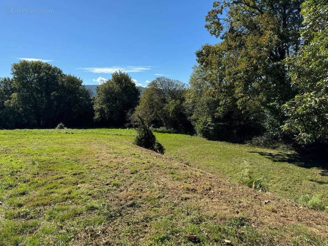 Maison à SAINT-AMANS-VALTORET