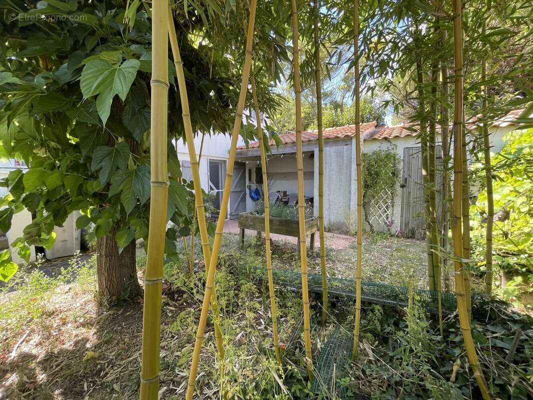 Maison à LA GUERINIERE