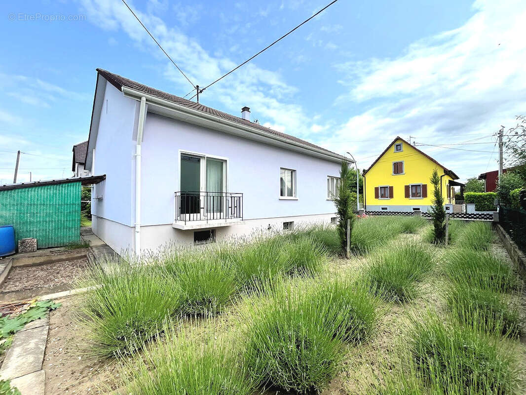 Maison à VILLAGE-NEUF