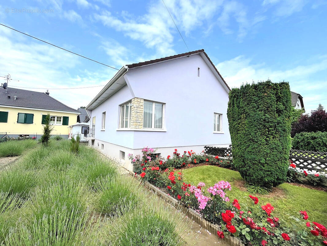 Maison à VILLAGE-NEUF