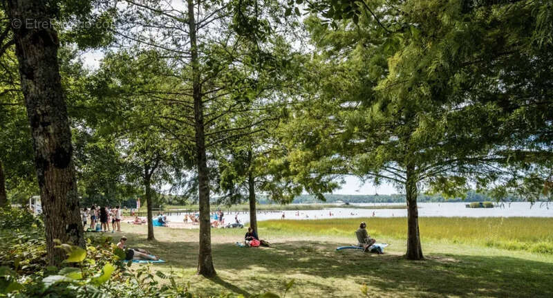 Terrain à AUREILHAN