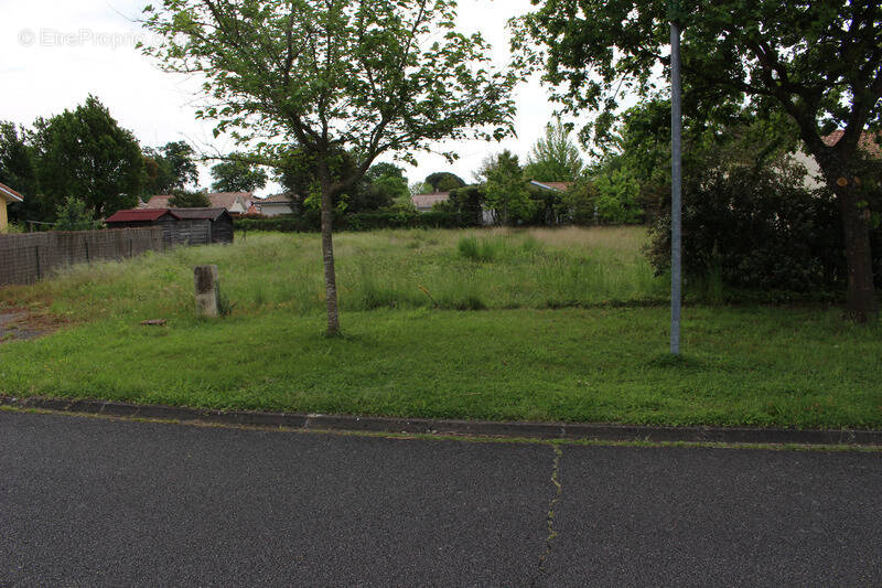 Terrain à AUREILHAN