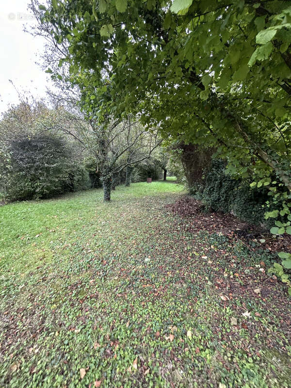 Maison à VITRY-LE-FRANCOIS