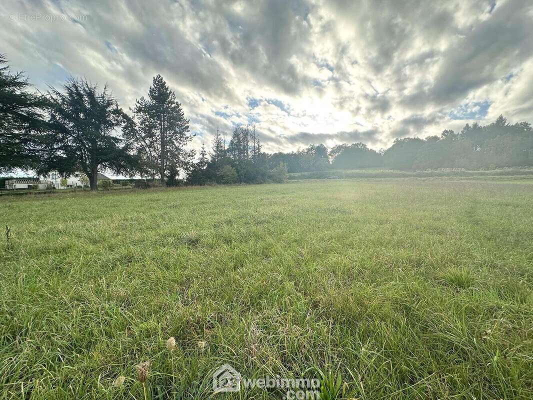 Ce terrain n'attend plus que vous et votre projet de construction - Terrain à MONS-EN-LAONNOIS