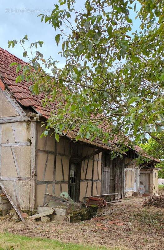 Terrain à SAINT-DIDIER-EN-BRESSE