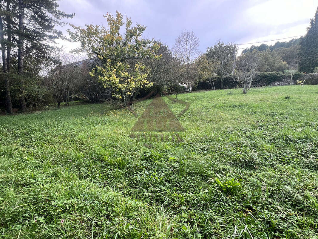 Terrain à SAINT-PAUL-LE-JEUNE