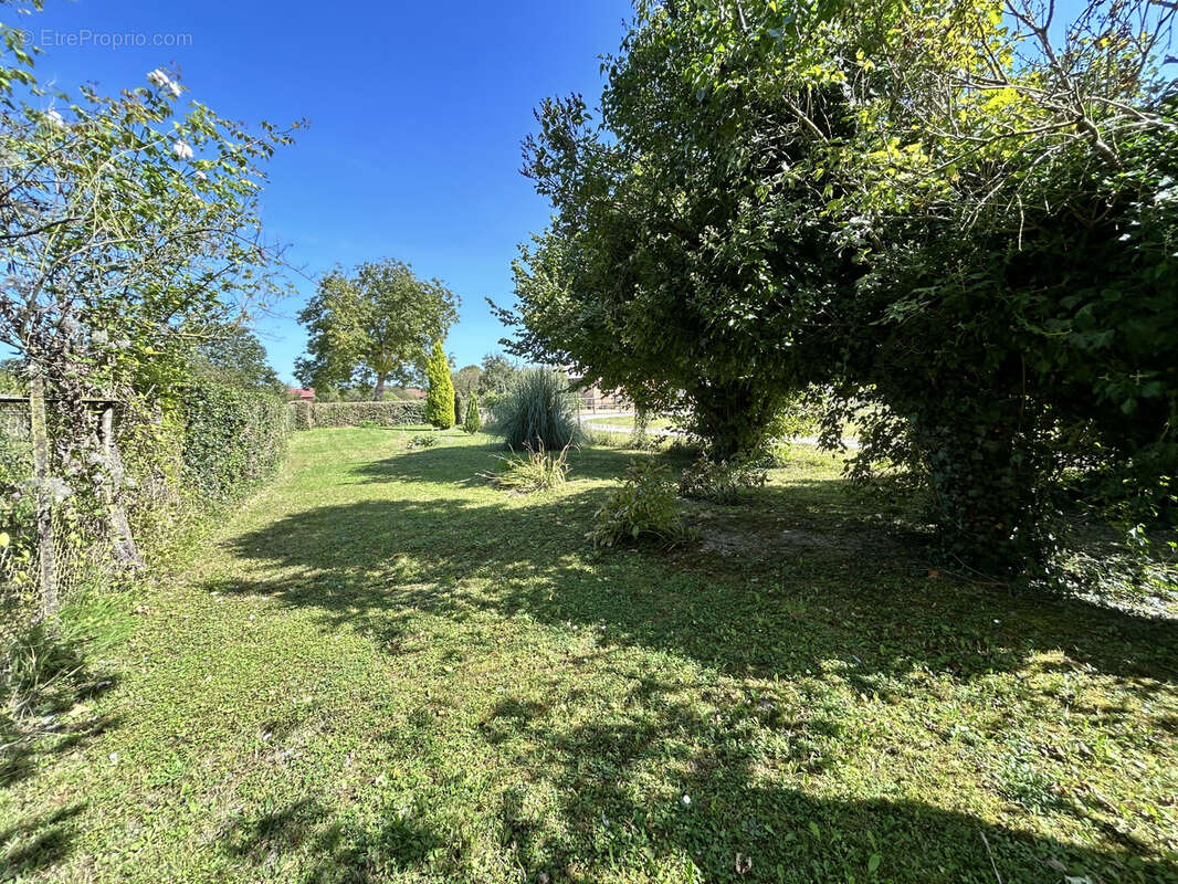 Maison à BRIENNE-LE-CHATEAU