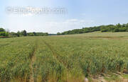 Terrain à CHATEAUDUN