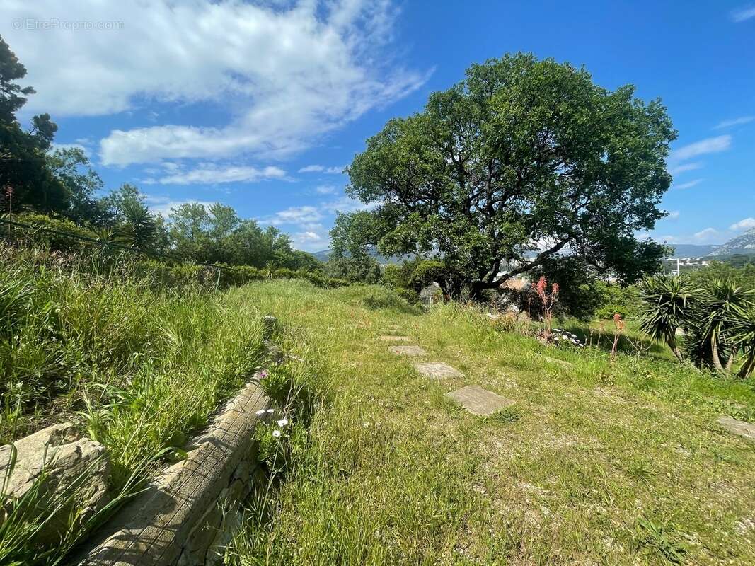 Terrain à OLLIOULES