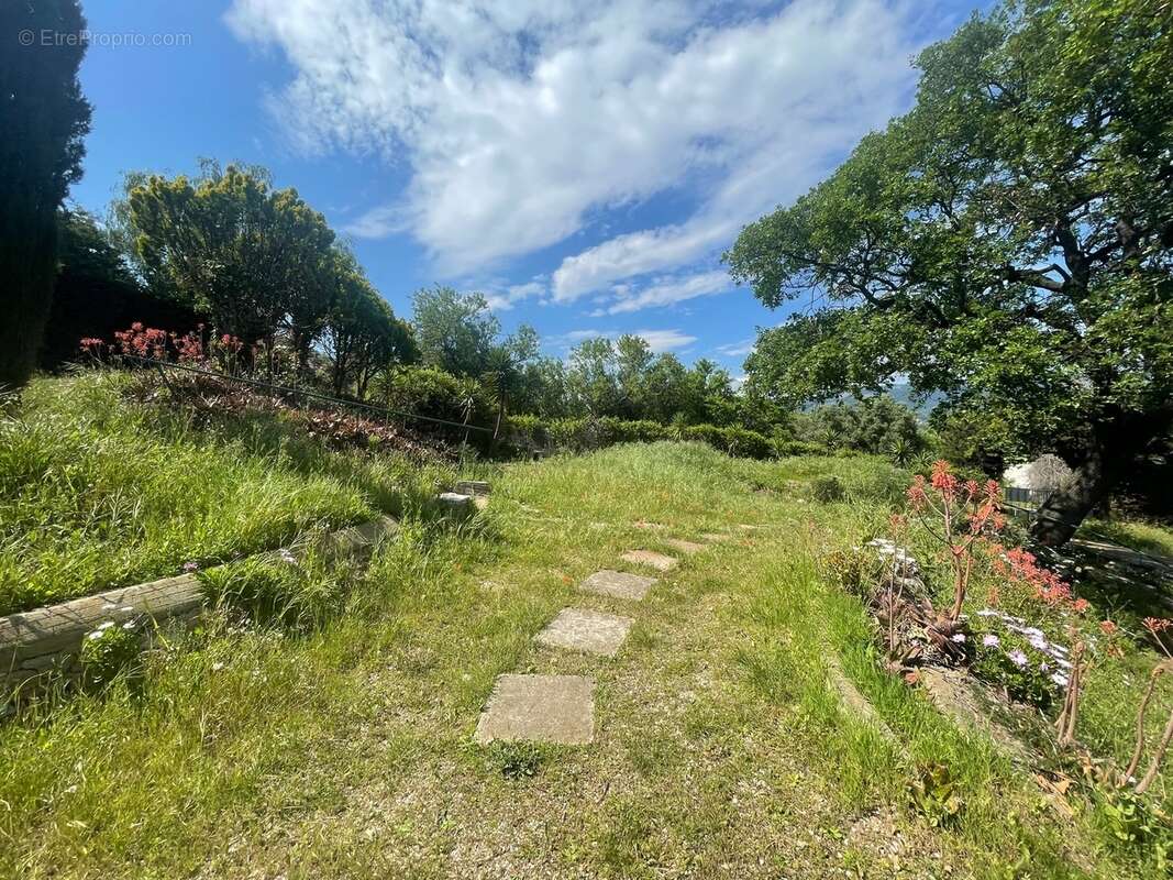 Terrain à OLLIOULES