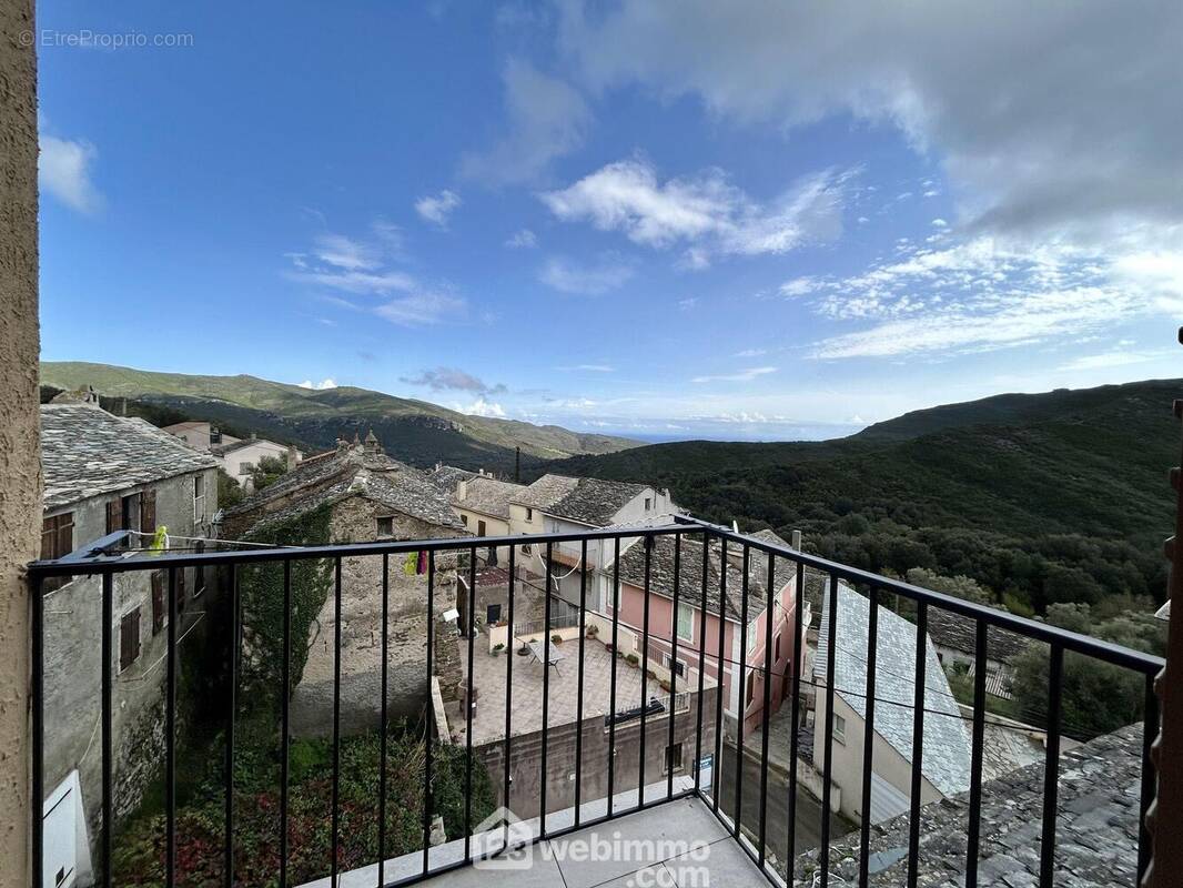 Vue depuis la terrasse de la chambre n°2 - Appartement à PIETRACORBARA