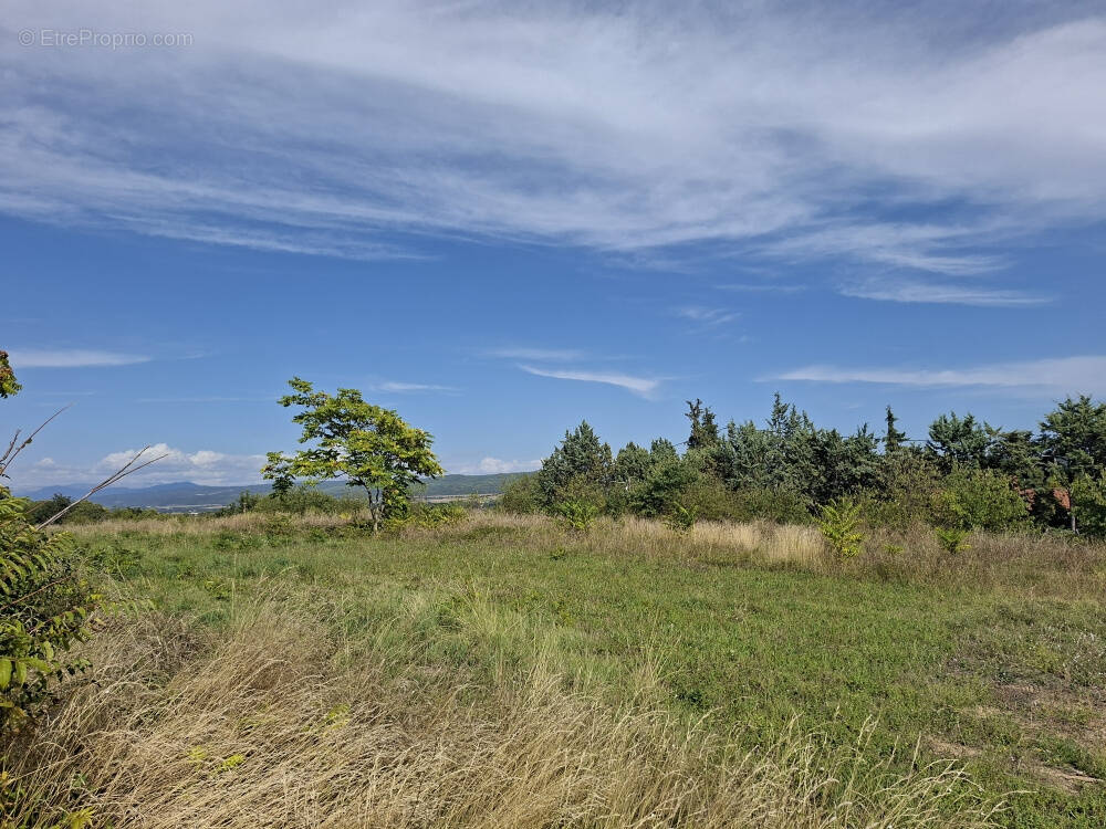 Terrain à LA BRILLANNE