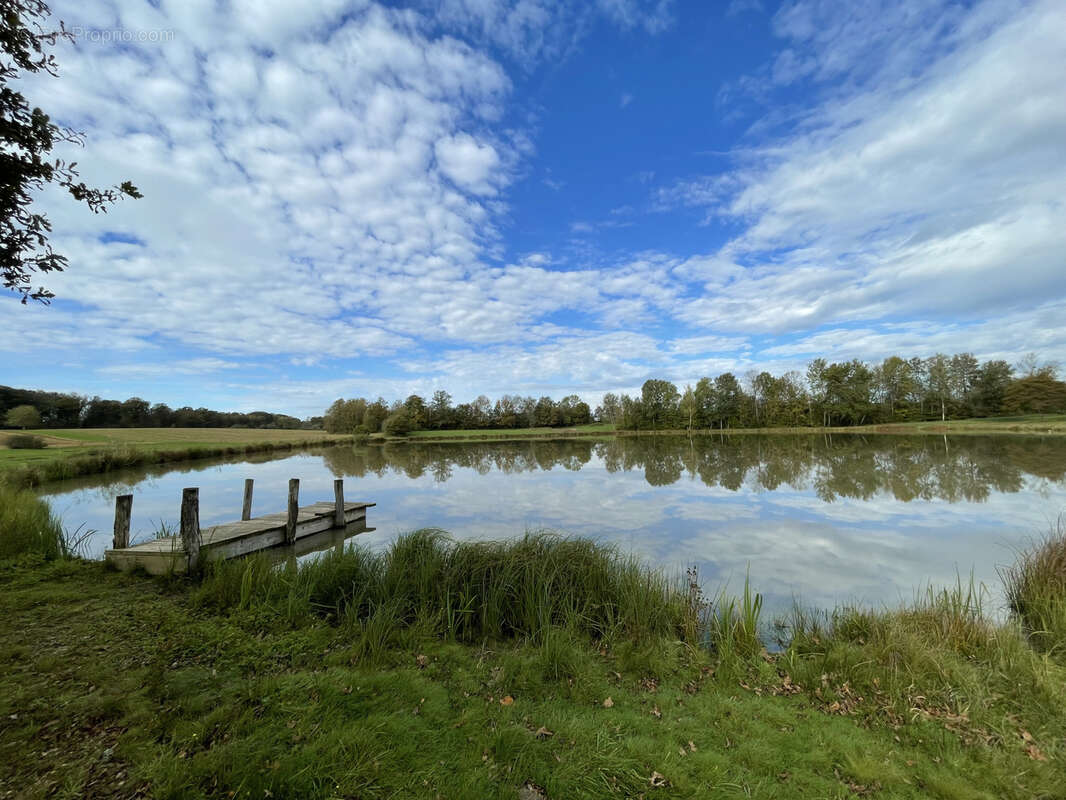 Terrain à MAGNIVRAY