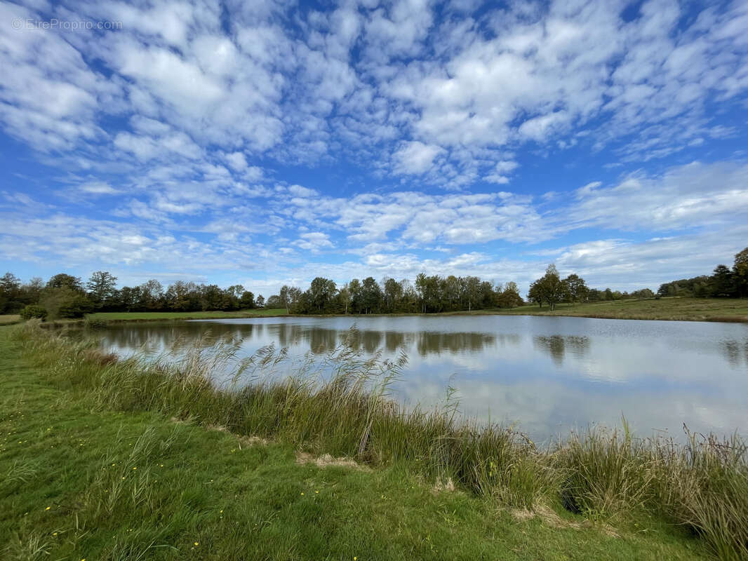 Terrain à MAGNIVRAY