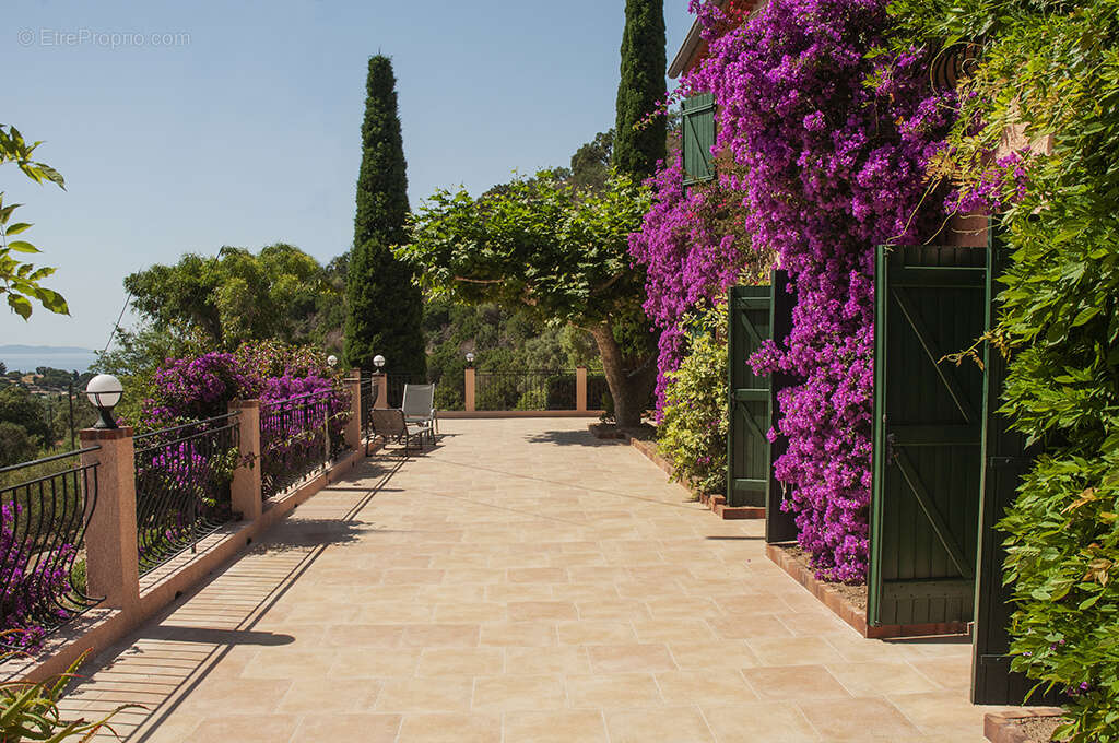 Maison à LE LAVANDOU