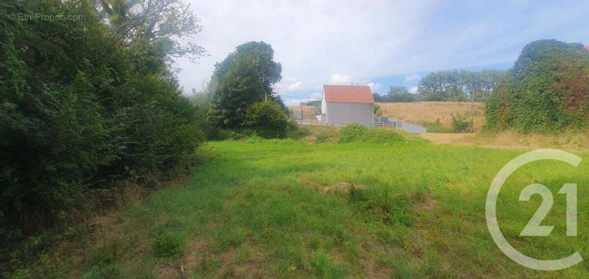 Terrain à GOUY-SAINT-ANDRE