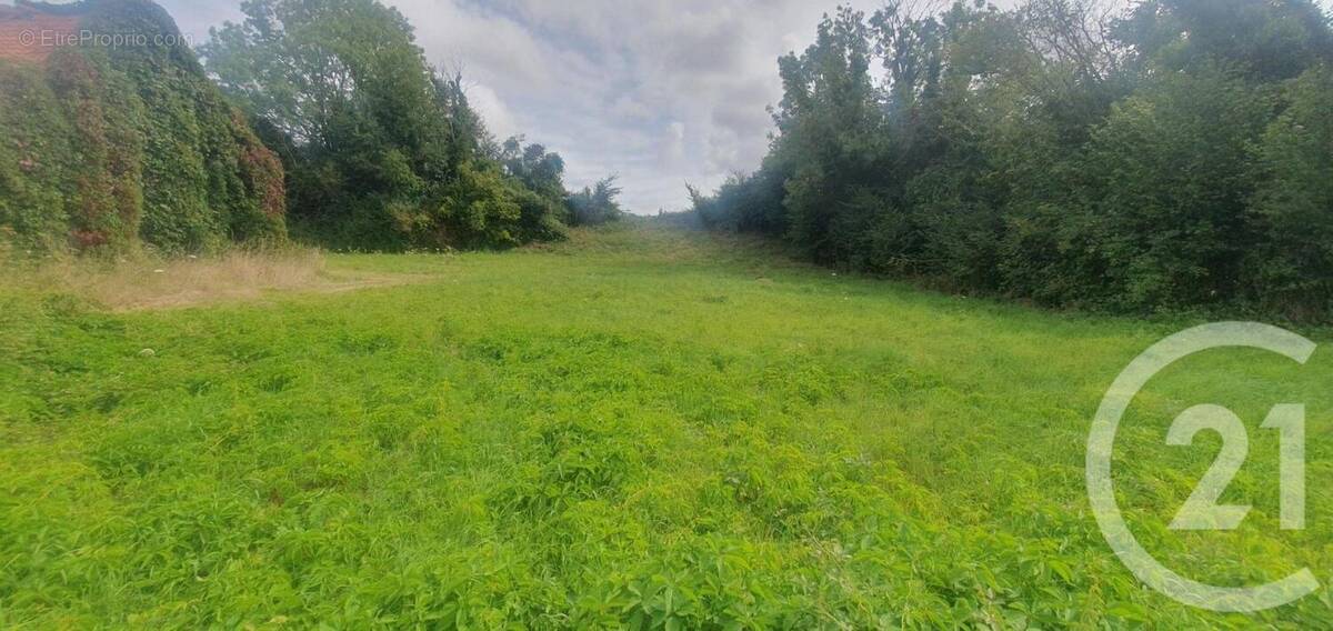 Terrain à GOUY-SAINT-ANDRE