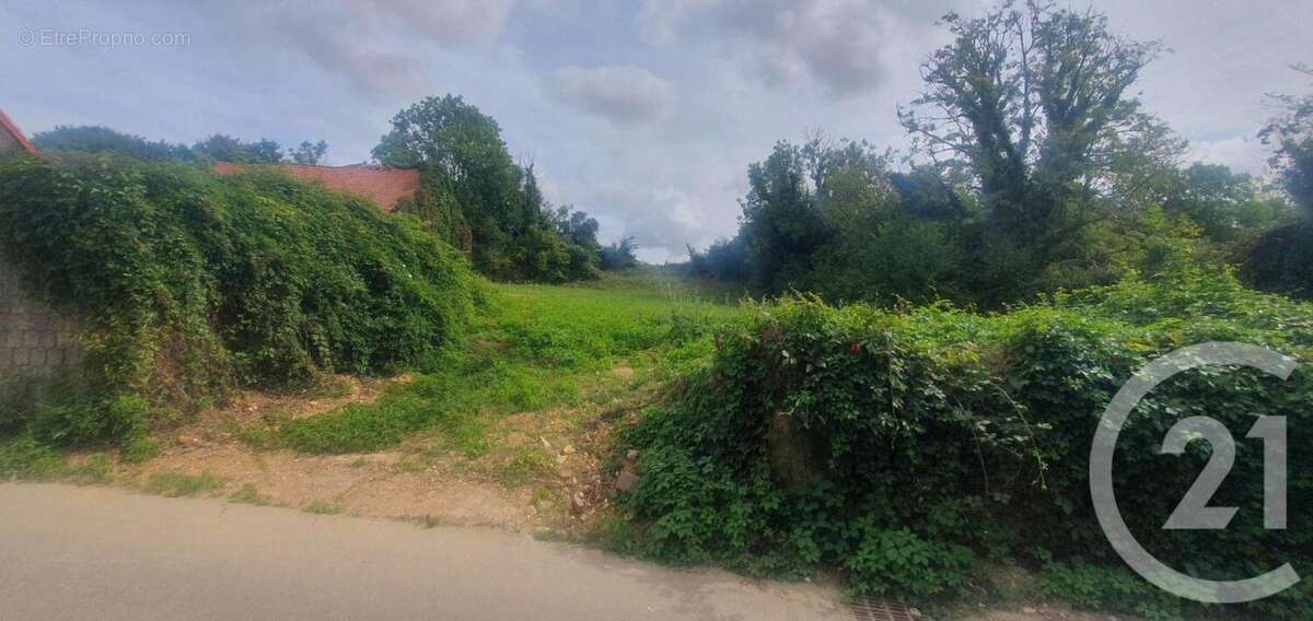 Terrain à GOUY-SAINT-ANDRE