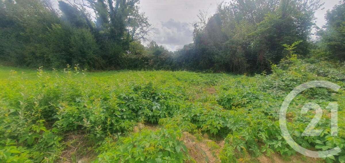 Terrain à GOUY-SAINT-ANDRE