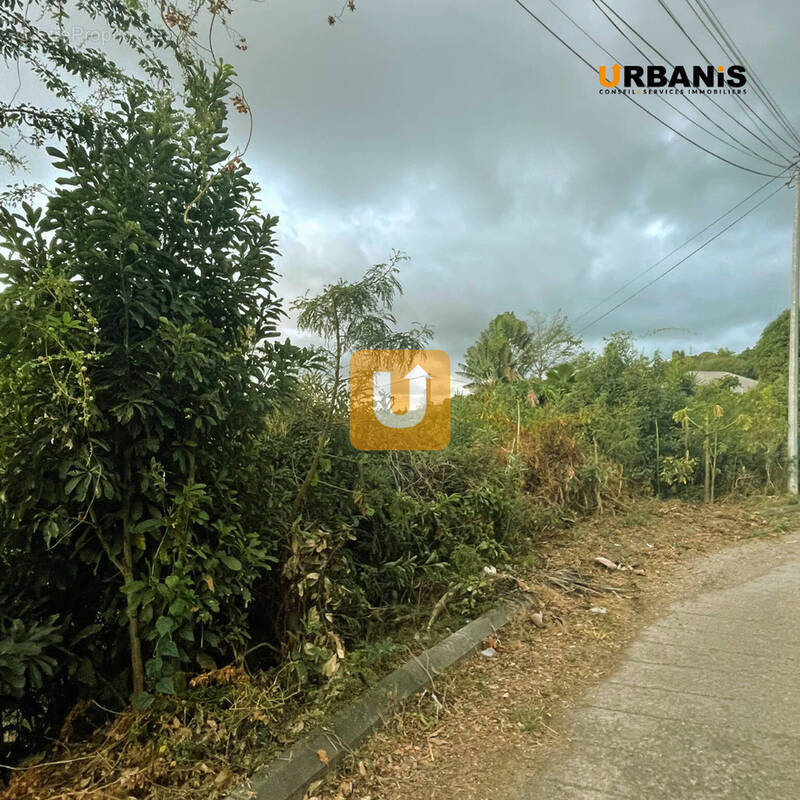 Terrain à SAINT-PAUL