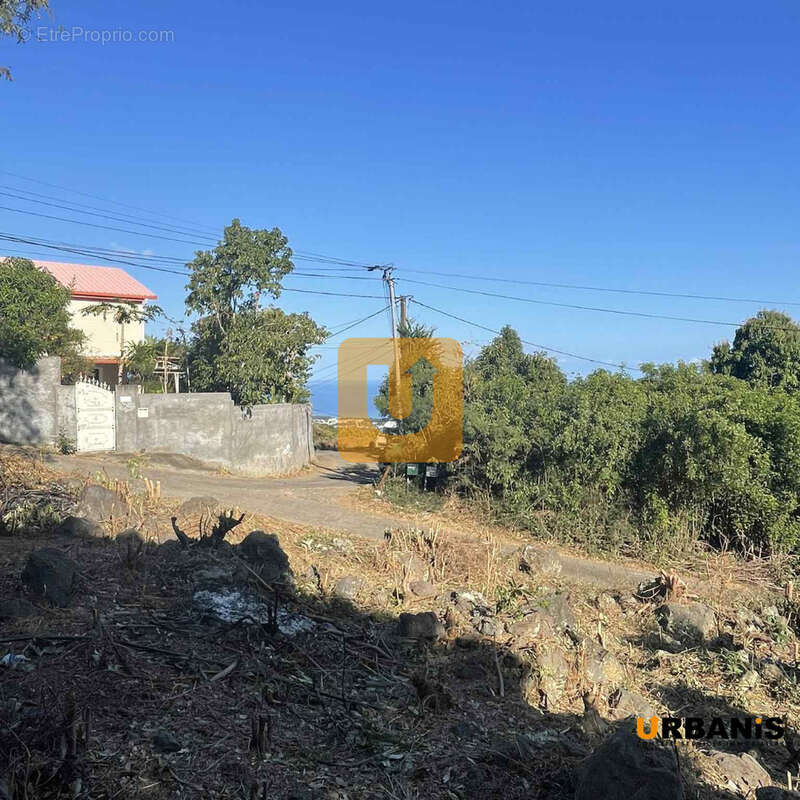 Terrain à SAINT-PAUL