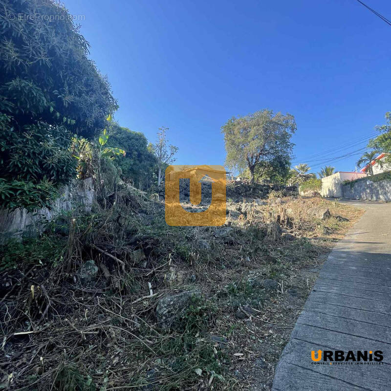 Terrain à SAINT-PAUL