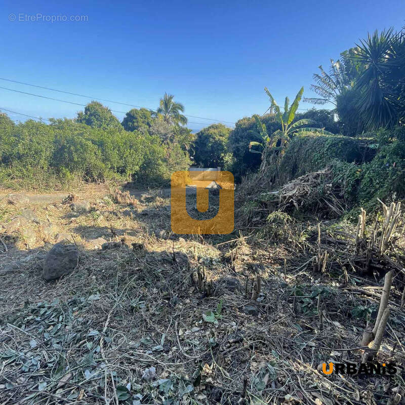 Terrain à SAINT-PAUL