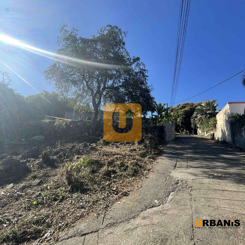 Terrain à SAINT-PAUL