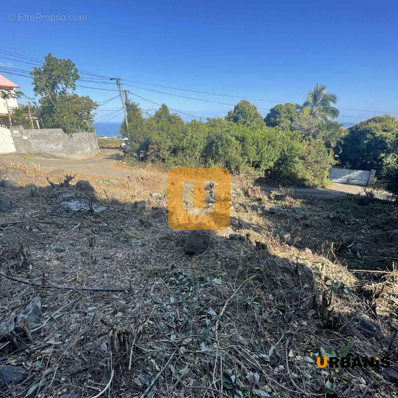 Terrain à SAINT-PAUL