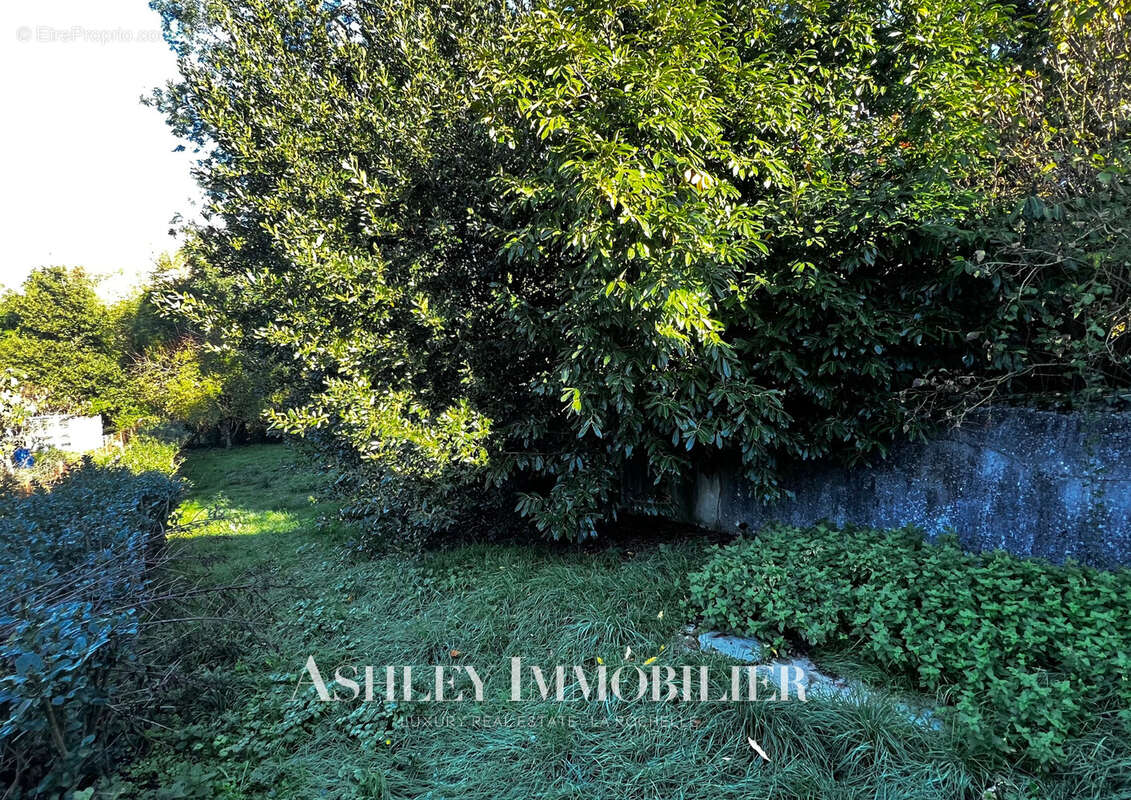 Maison à LE GUE-DE-VELLUIRE